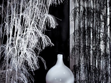 portfolio img